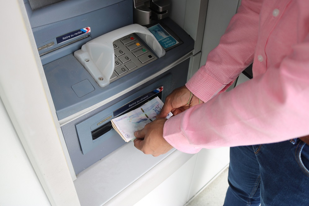 Como-cuidar-la-prima