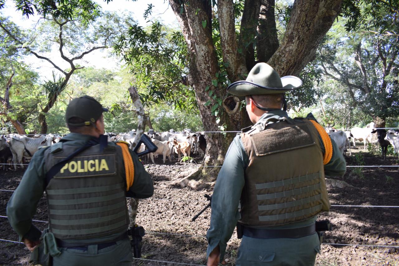 Golpe contundente contra el abigeato en Arauca 