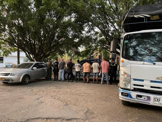 recuperación porcinos