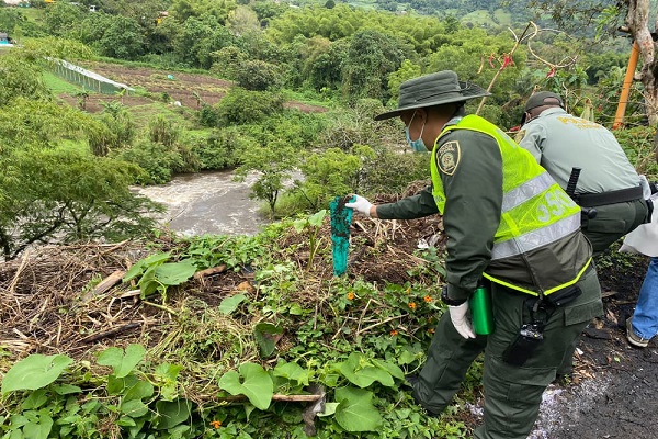 Acción interinstitucional para recuperar la ribera del río Otún.