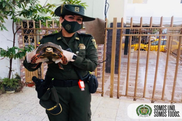 Compromiso ambiental