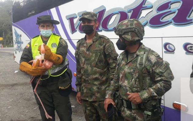 las especies fueron entregadas a la CRQ