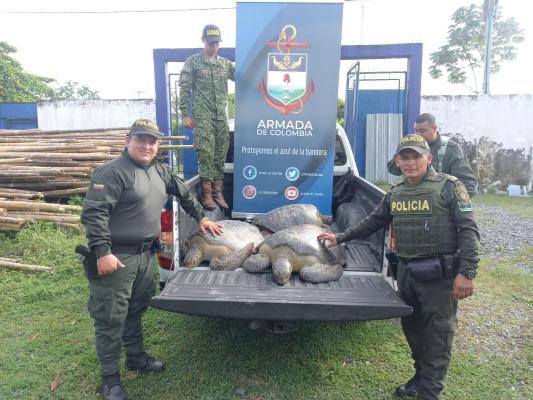 Rescatan especies de fauna silvestre 