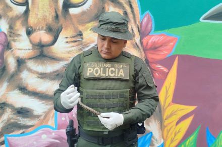 Policía Nacional logra el rescate de una culebra caracolera