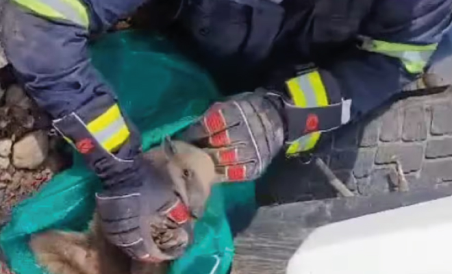 El Departamento de Policía Cundinamarca, en coordinación con la Fiscalía General de Nación, logró la ocupación con fines de extinción de dominio de 4 bienes inmuebles en el municipio de Ubaté.