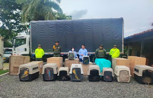 Rescate de treinta animales silvestres y exóticos 