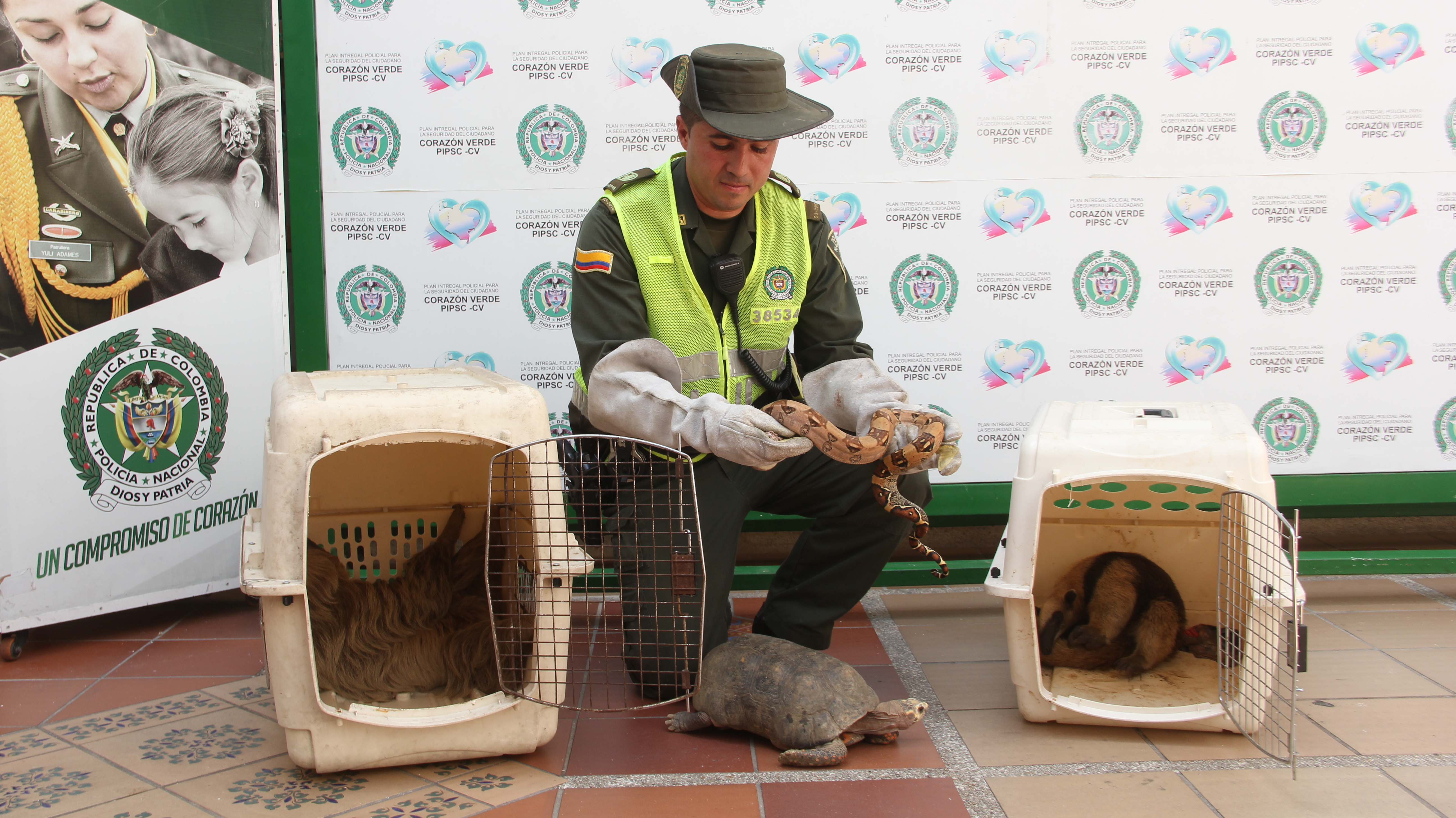 rescate_animales_silvestres_