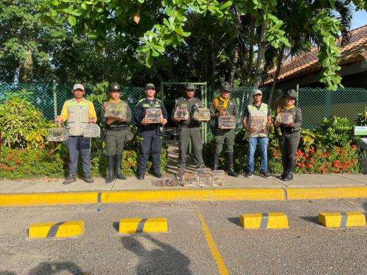 Rescatadas 35 especies de aves silvestres, que se encontraban en cautiverio en la plaza del mercado de Bazurto