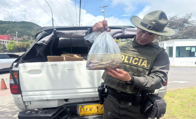 Un Policía Rescate peces