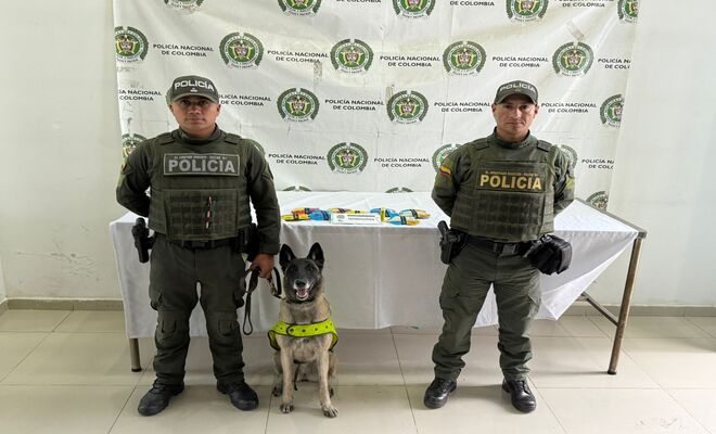 Dos policías y un canino Incautan vapeadores con extracto de cannabis