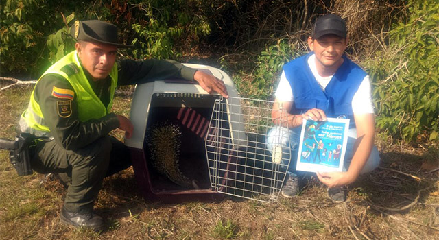 La Policía Nacional-vela por la protección y cuidado de la fauna silvestre-Meta