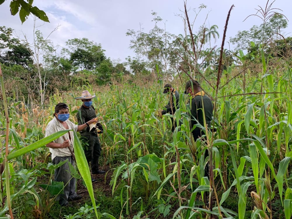 Creamos proyectos productivos en beneficio de nuestra gente 