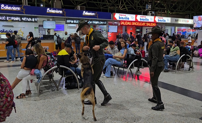 revision con guía canino