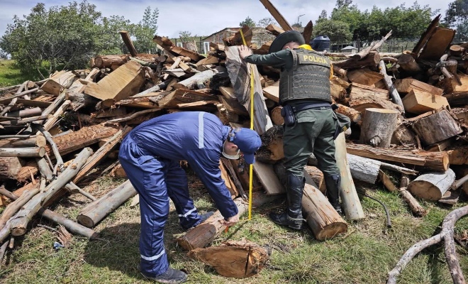 Presencia y protección ambiental en el corazón rural de Bolívar