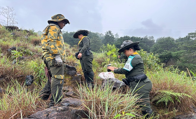 Sembraton de 1000 arboles