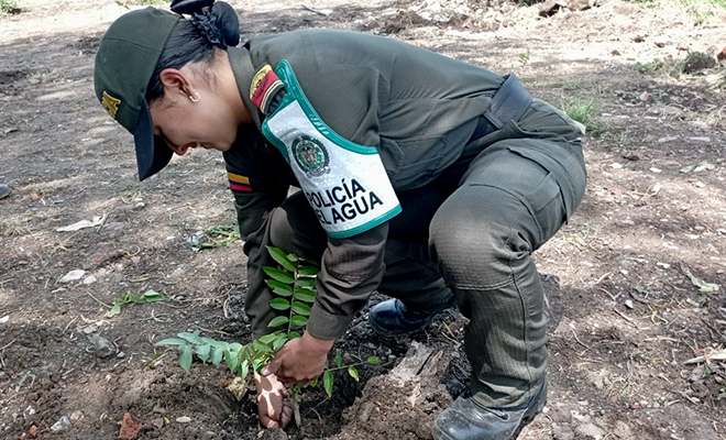 Protección al medio ambiente