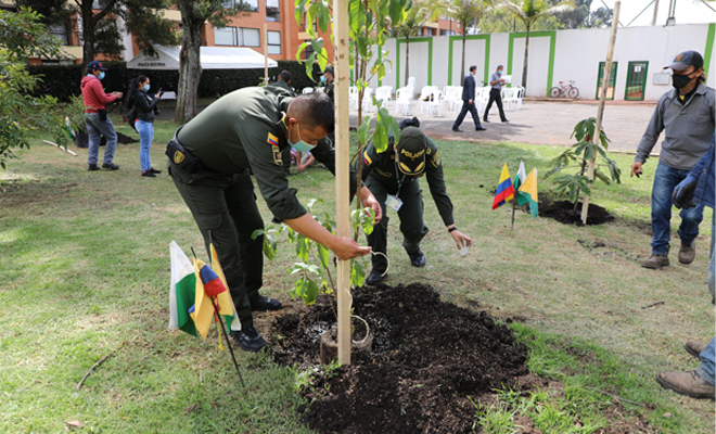 siembra arboles policia nacional