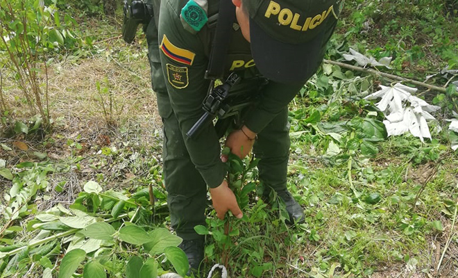 En-el-Meta-desplegamos-nuestro-Plan Institucional-todos-contra-el-Narcotráfico