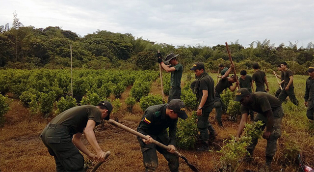 Avanza-“Plan Institucional todos contra el Narcotráfico”-en el Meta
