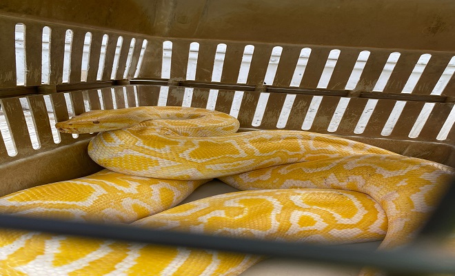 Vulnerabilidad del hábitat natural