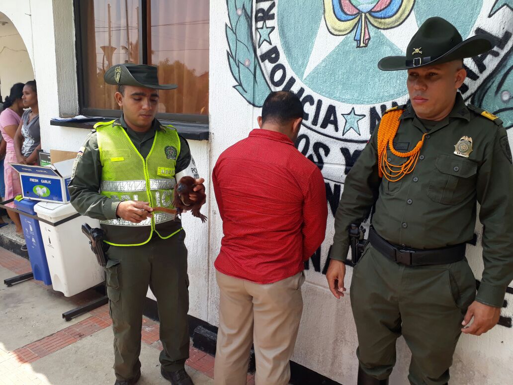 Comprometidos con el medio ambiente.