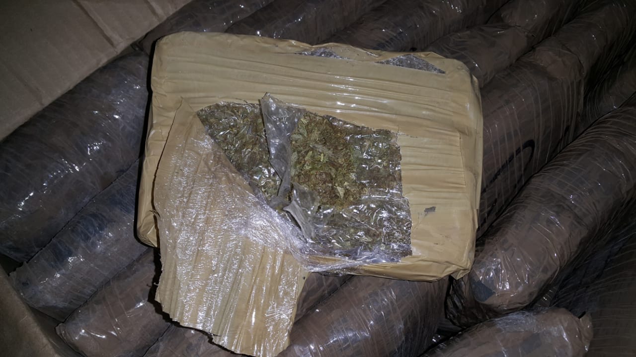 Ofensiva-contra-las-estructuras-narcotraficantes-dedicadas-al-tráfico-de-marihuana