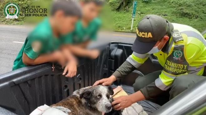 Un rescate al mejor amigo del hombre.