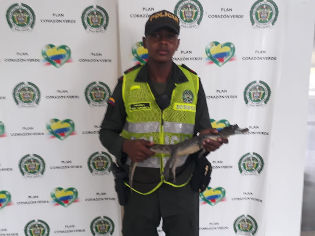 En acciones de protección a la fauna silvestre2