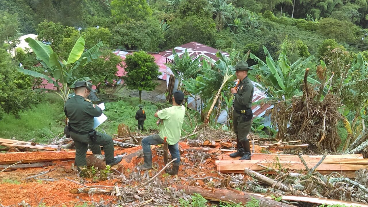 14 metros cubicos de madera incautada 