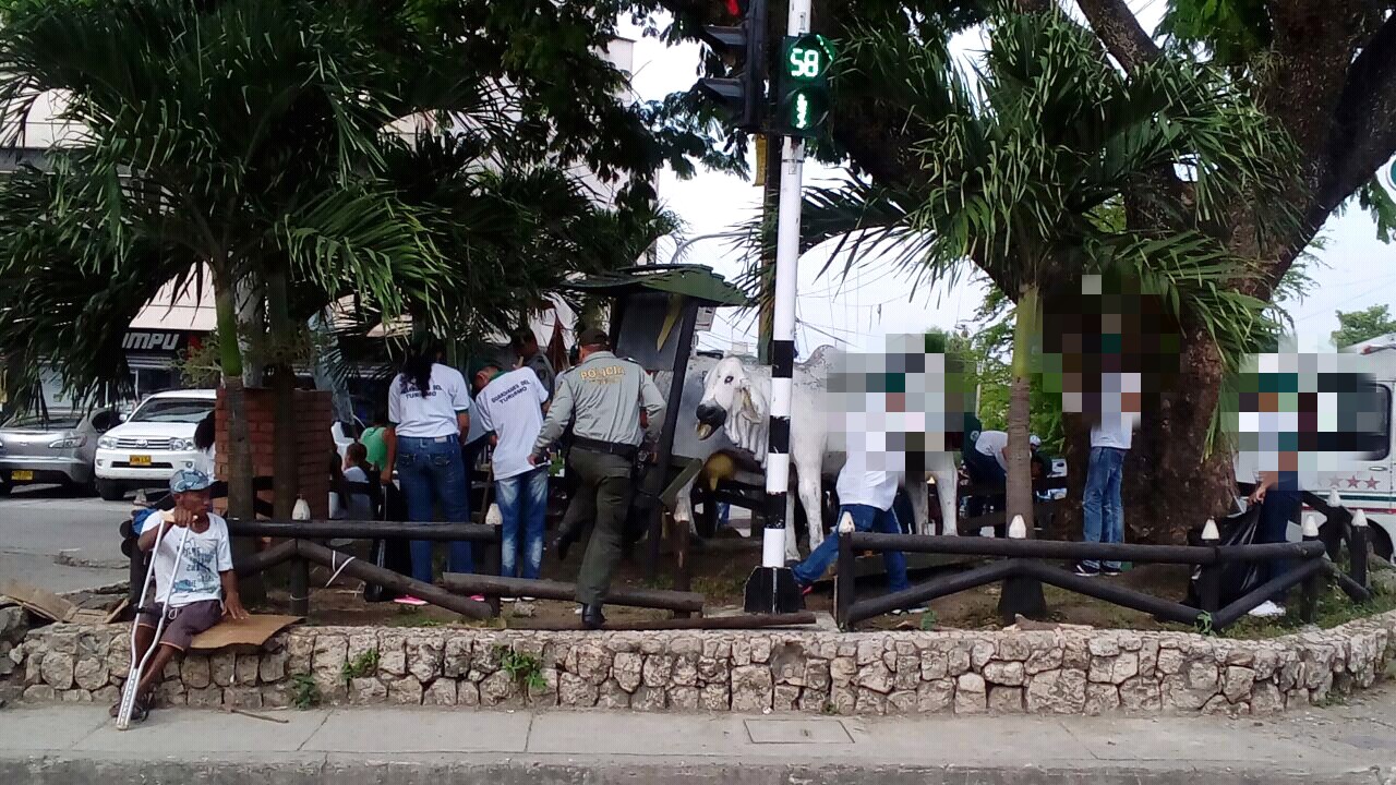 Arreglo a los monumentos de la Ciudad de Sincelejo.