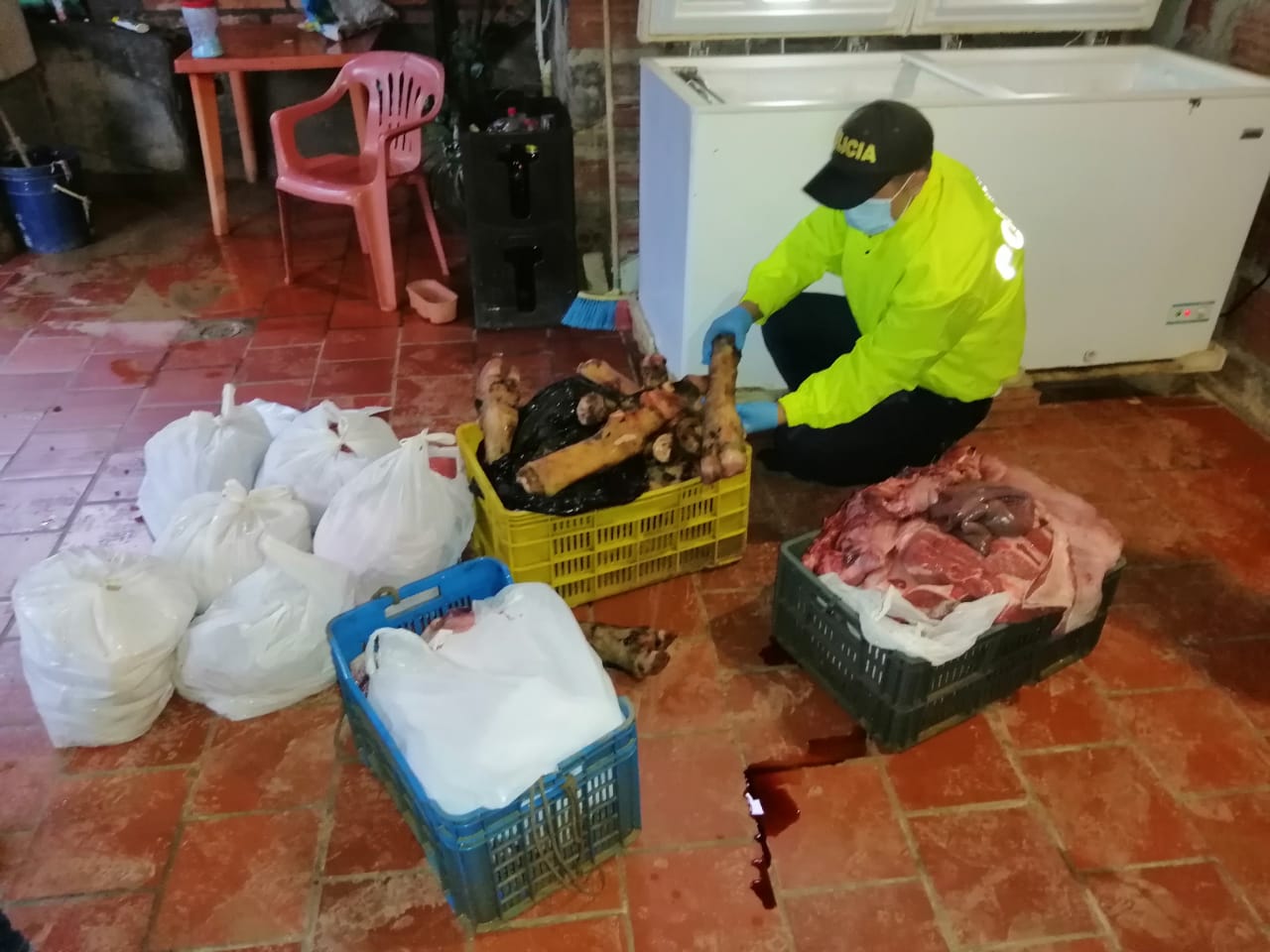 Aprehensión de carne en descomposición