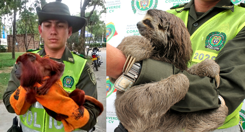 POLICIA NACIONAL PROTECTORES DE ANIMALES