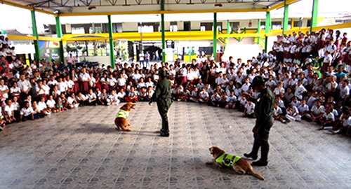 Meta-jornada-redes sociales-campaña-YoProtejoLosAnimales-policia