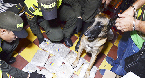 231114-medellin-incautado-bar-droga-marihuana