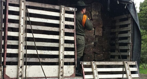 incautacion de madera