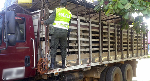 181114-incautacion-semovientes-monteria