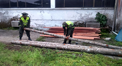 030415-incautacion-madera-ambiental-narino