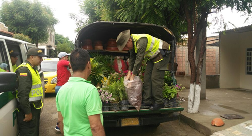 Capturados- sorprendidos transportando más de 70 kilos de palma boba