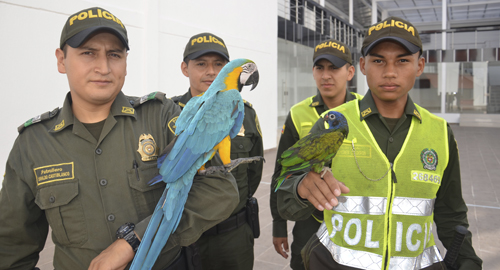 201115-rescate-fauna-silvestre-putumayo