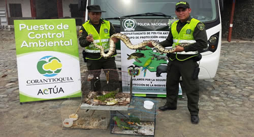 especies_rescatadas