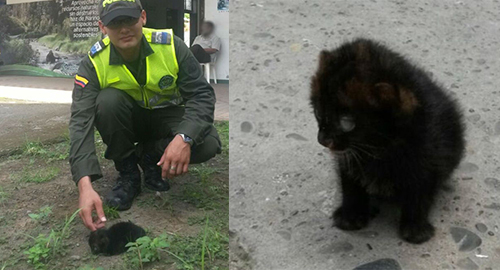 060515-recate-pantera-tumaco-pantera