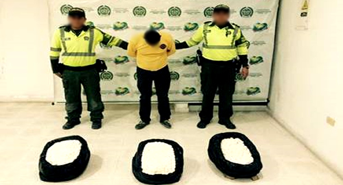 recuperacion-huevos-iguana-policia