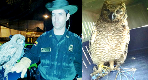 buho-rescate-policia